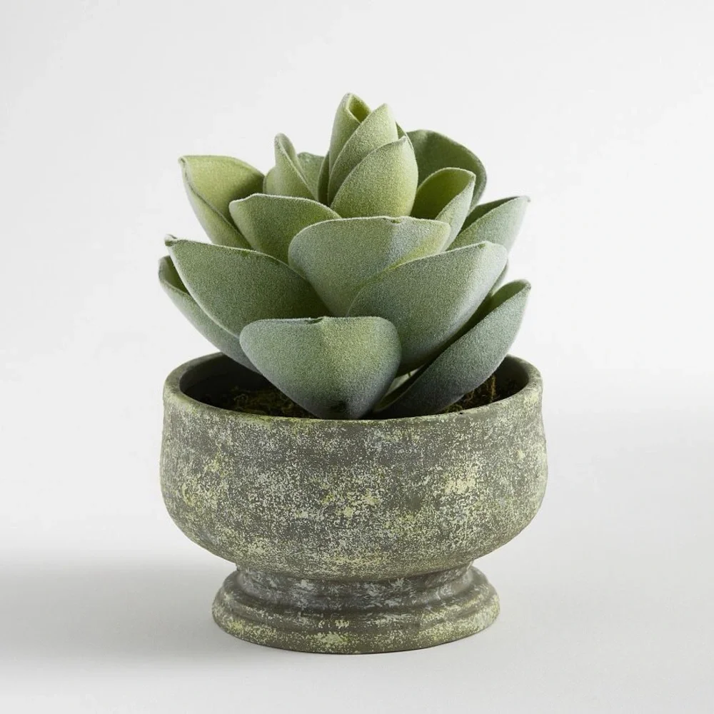 Pottery Barn Atlantis Faux Succulent in Bowl, Like New
